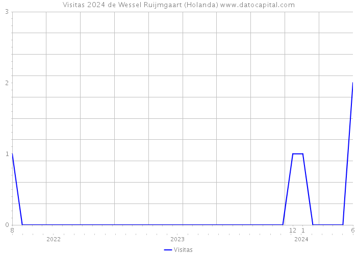 Visitas 2024 de Wessel Ruijmgaart (Holanda) 