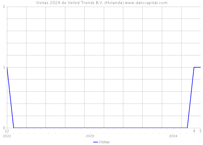 Visitas 2024 de Veiled Trends B.V. (Holanda) 