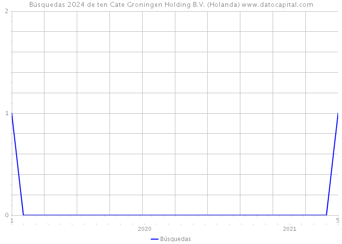 Búsquedas 2024 de ten Cate Groningen Holding B.V. (Holanda) 