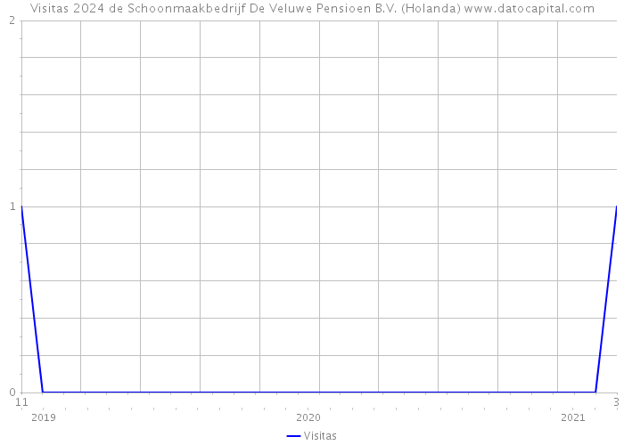 Visitas 2024 de Schoonmaakbedrijf De Veluwe Pensioen B.V. (Holanda) 