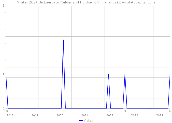 Visitas 2024 de Energetic Gelderland Holding B.V. (Holanda) 