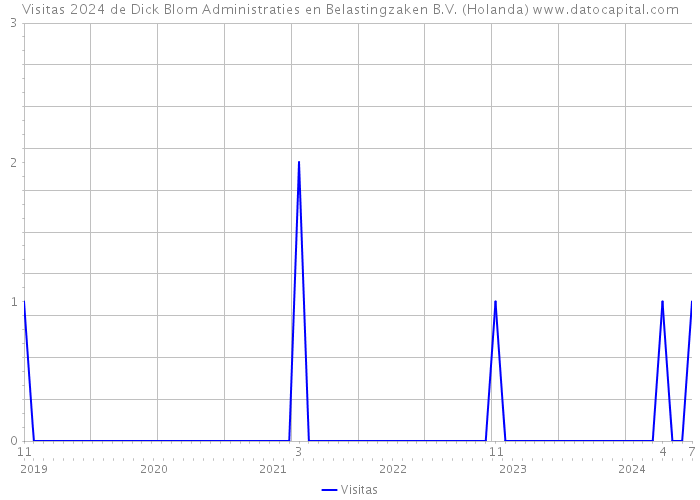 Visitas 2024 de Dick Blom Administraties en Belastingzaken B.V. (Holanda) 