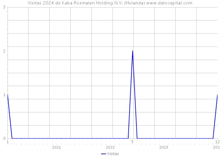 Visitas 2024 de Kaba Rosmalen Holding N.V. (Holanda) 