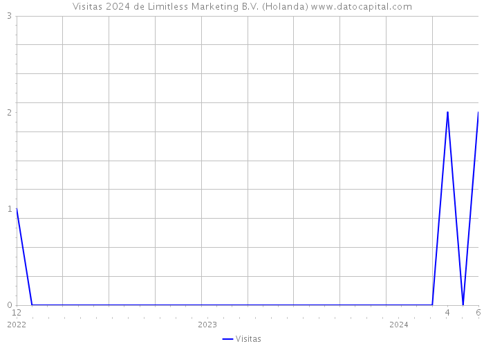 Visitas 2024 de Limitless Marketing B.V. (Holanda) 
