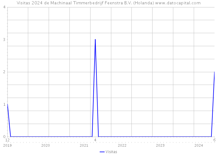 Visitas 2024 de Machinaal Timmerbedrijf Feenstra B.V. (Holanda) 