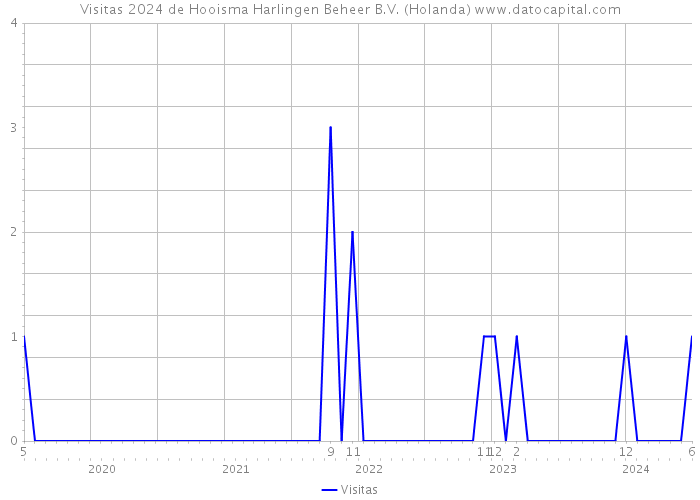 Visitas 2024 de Hooisma Harlingen Beheer B.V. (Holanda) 