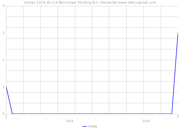 Visitas 2024 de v/d Bersselaar Holding B.V. (Holanda) 