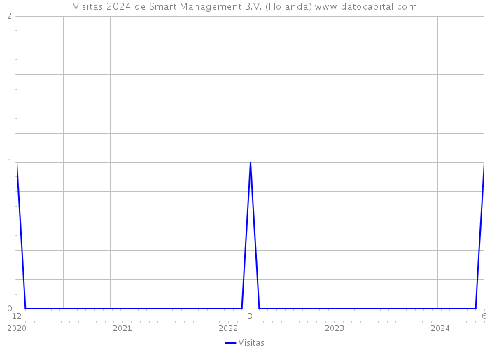 Visitas 2024 de Smart Management B.V. (Holanda) 