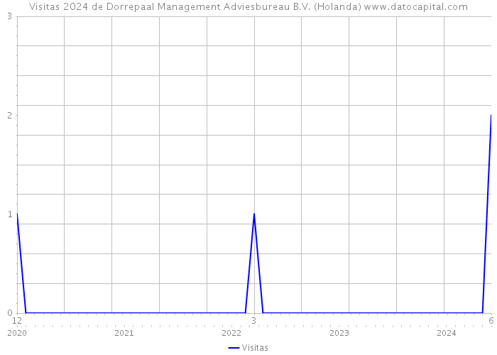 Visitas 2024 de Dorrepaal Management Adviesbureau B.V. (Holanda) 