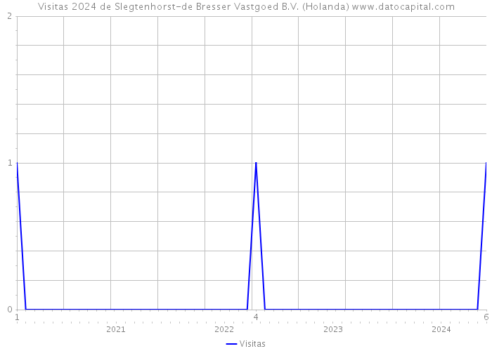 Visitas 2024 de Slegtenhorst-de Bresser Vastgoed B.V. (Holanda) 