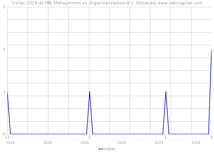 Visitas 2024 de HBL Management en Organisatieadvies B.V. (Holanda) 