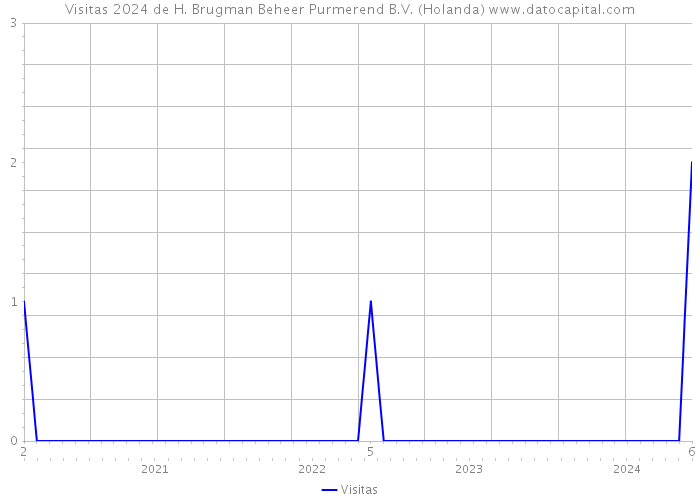 Visitas 2024 de H. Brugman Beheer Purmerend B.V. (Holanda) 
