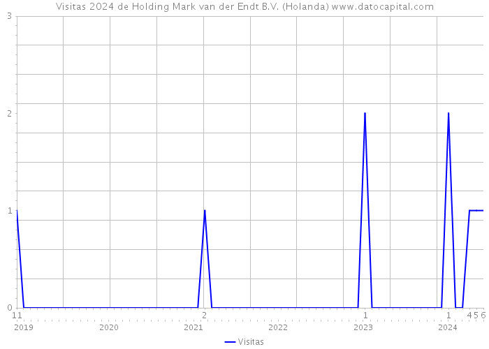 Visitas 2024 de Holding Mark van der Endt B.V. (Holanda) 