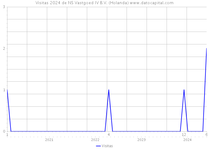 Visitas 2024 de NS Vastgoed IV B.V. (Holanda) 