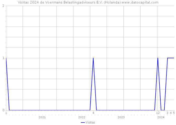 Visitas 2024 de Voermans Belastingadviseurs B.V. (Holanda) 