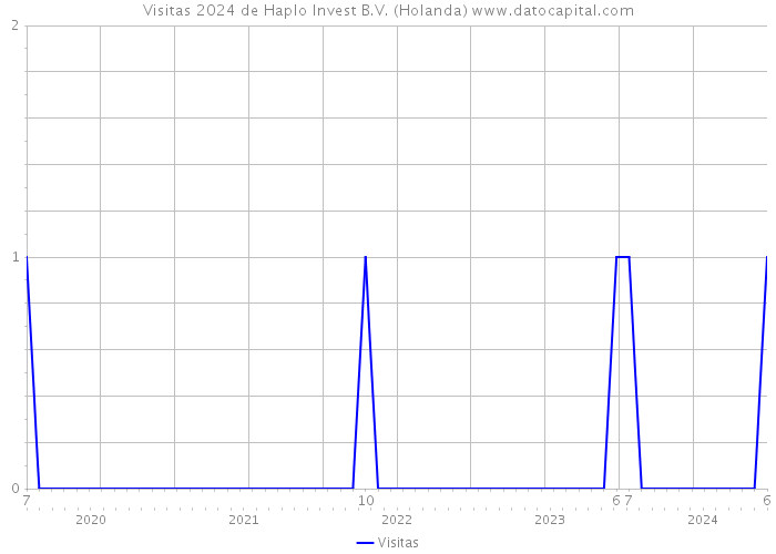 Visitas 2024 de Haplo Invest B.V. (Holanda) 