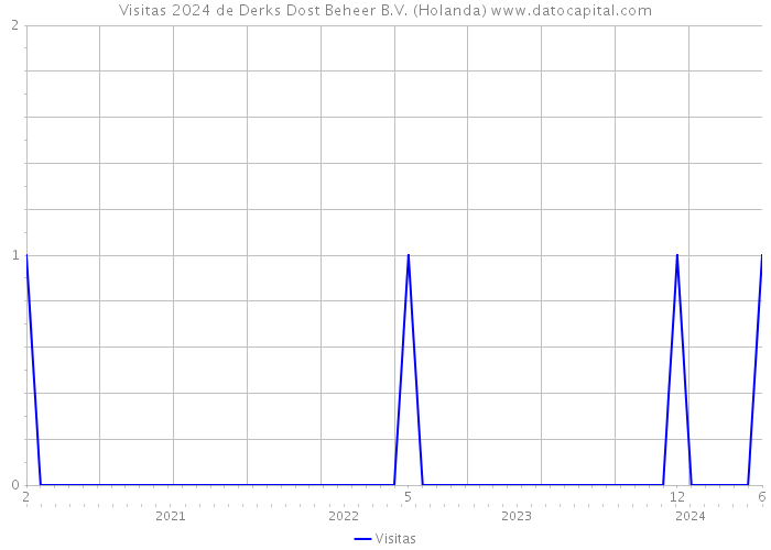 Visitas 2024 de Derks Dost Beheer B.V. (Holanda) 