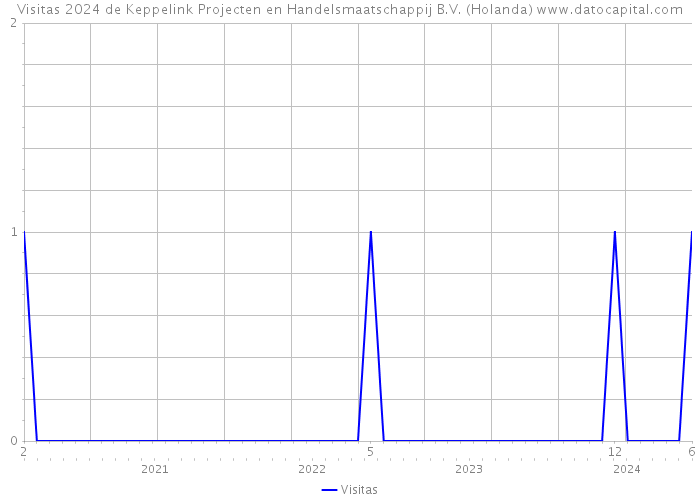 Visitas 2024 de Keppelink Projecten en Handelsmaatschappij B.V. (Holanda) 