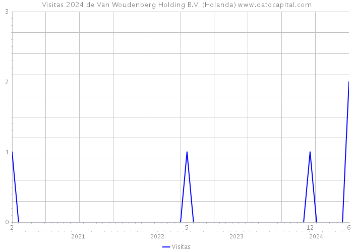 Visitas 2024 de Van Woudenberg Holding B.V. (Holanda) 