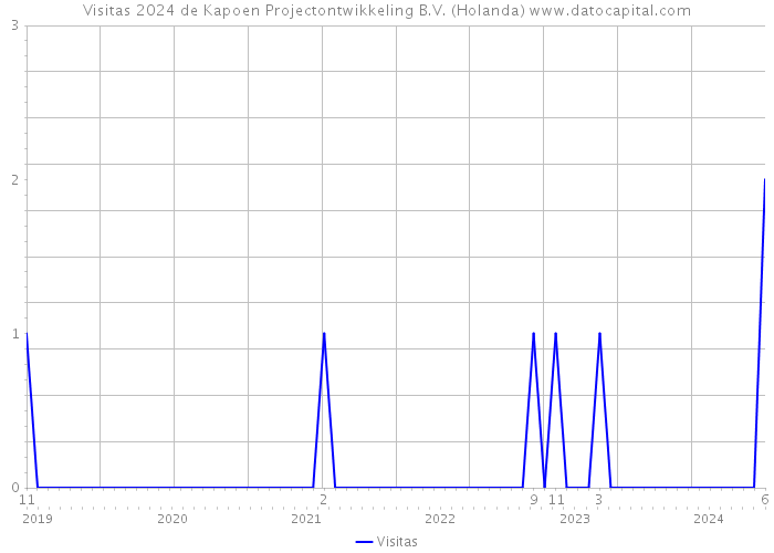 Visitas 2024 de Kapoen Projectontwikkeling B.V. (Holanda) 