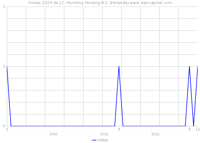 Visitas 2024 de J.C. Horsting Holding B.V. (Holanda) 