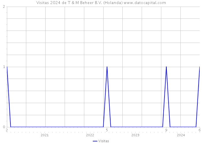 Visitas 2024 de T & M Beheer B.V. (Holanda) 