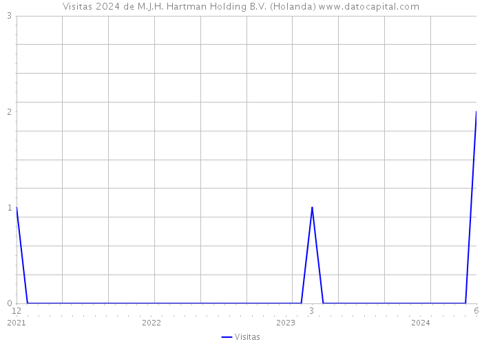 Visitas 2024 de M.J.H. Hartman Holding B.V. (Holanda) 