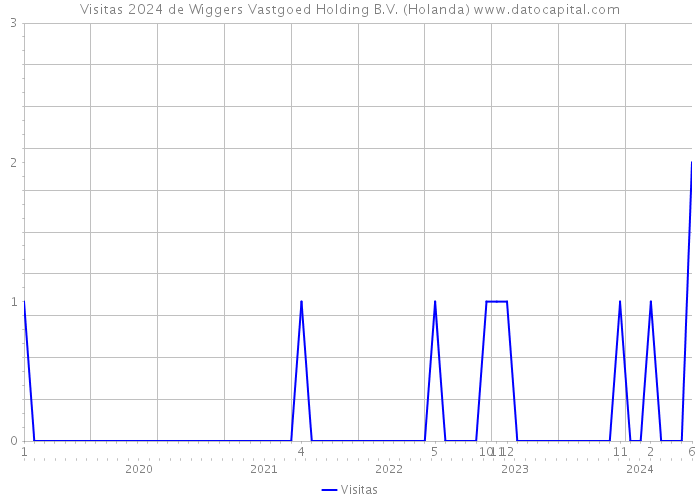 Visitas 2024 de Wiggers Vastgoed Holding B.V. (Holanda) 