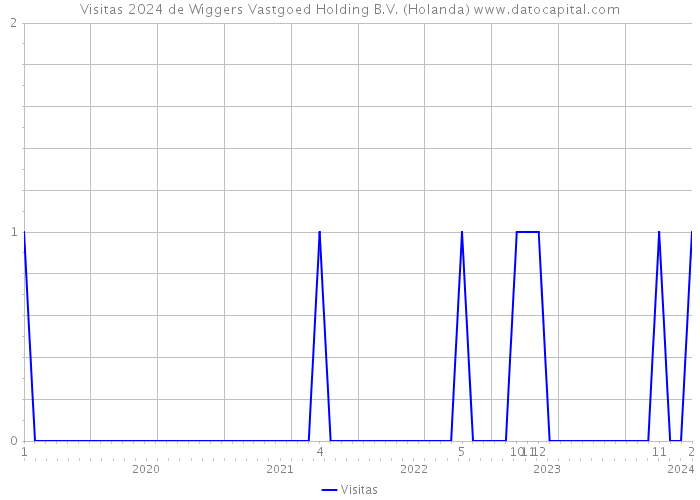 Visitas 2024 de Wiggers Vastgoed Holding B.V. (Holanda) 