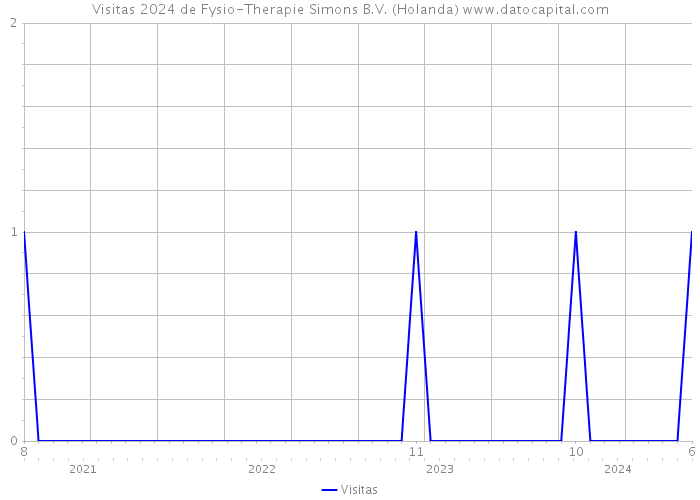 Visitas 2024 de Fysio-Therapie Simons B.V. (Holanda) 