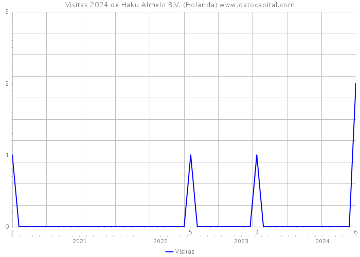 Visitas 2024 de Haku Almelo B.V. (Holanda) 