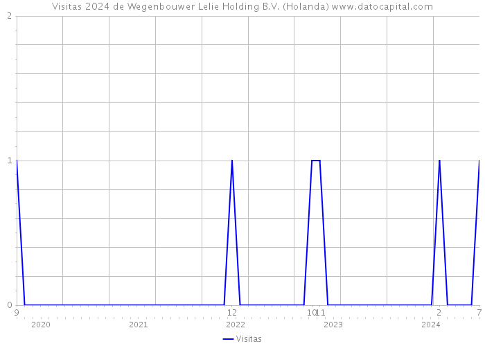 Visitas 2024 de Wegenbouwer Lelie Holding B.V. (Holanda) 