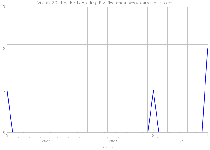 Visitas 2024 de Birds Holding B.V. (Holanda) 