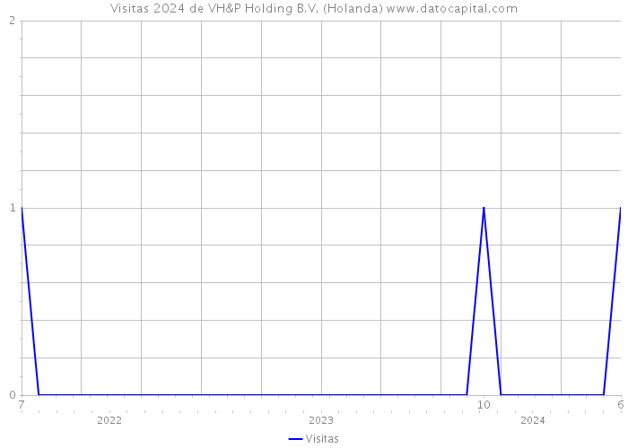 Visitas 2024 de VH&P Holding B.V. (Holanda) 