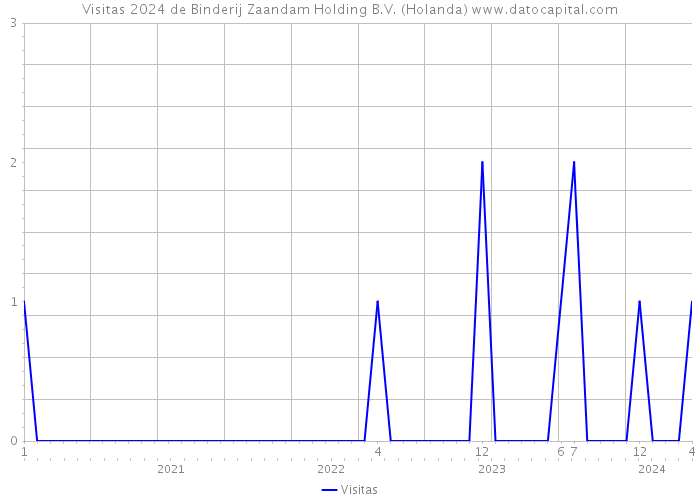 Visitas 2024 de Binderij Zaandam Holding B.V. (Holanda) 