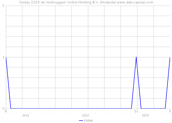 Visitas 2024 de Verbruggen Volkel Holding B.V. (Holanda) 