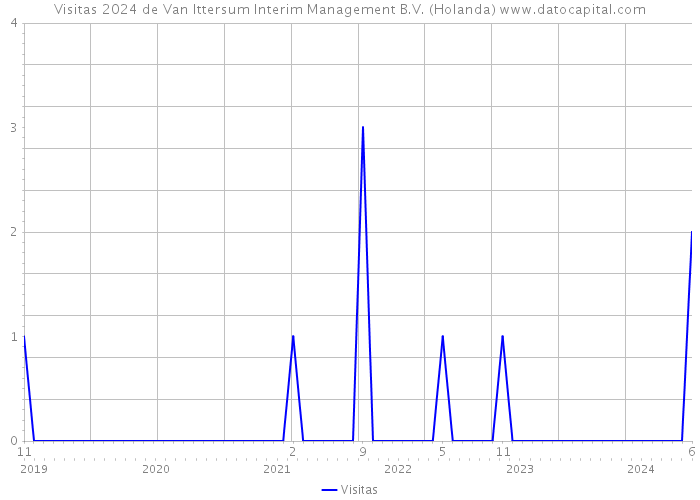 Visitas 2024 de Van Ittersum Interim Management B.V. (Holanda) 