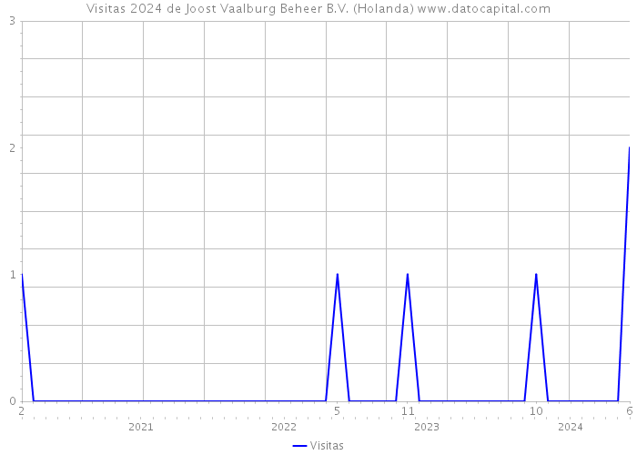 Visitas 2024 de Joost Vaalburg Beheer B.V. (Holanda) 