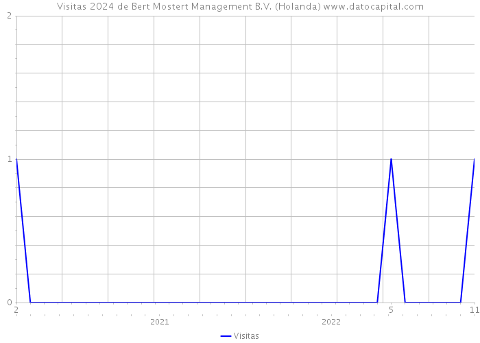 Visitas 2024 de Bert Mostert Management B.V. (Holanda) 