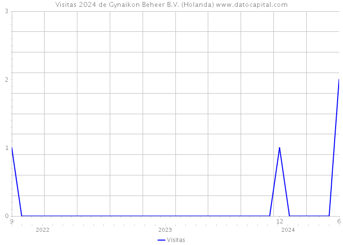 Visitas 2024 de Gynaikon Beheer B.V. (Holanda) 