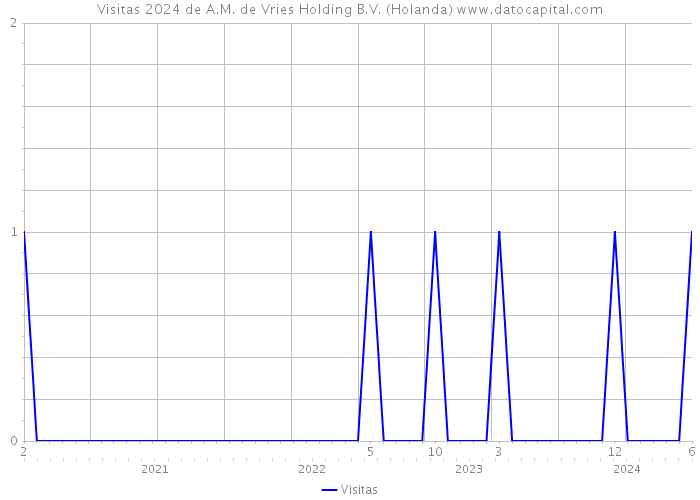 Visitas 2024 de A.M. de Vries Holding B.V. (Holanda) 