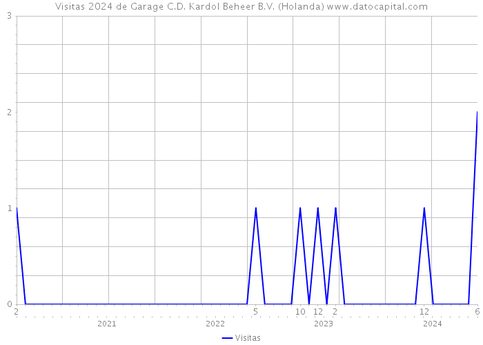 Visitas 2024 de Garage C.D. Kardol Beheer B.V. (Holanda) 