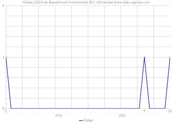 Visitas 2024 de Blauwhoed Investments B.V. (Holanda) 