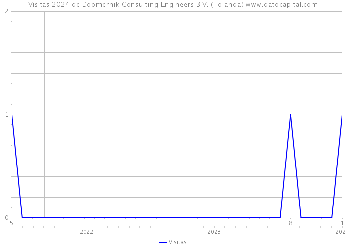 Visitas 2024 de Doomernik Consulting Engineers B.V. (Holanda) 