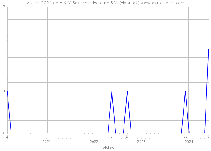 Visitas 2024 de H & M Bakkenes Holding B.V. (Holanda) 