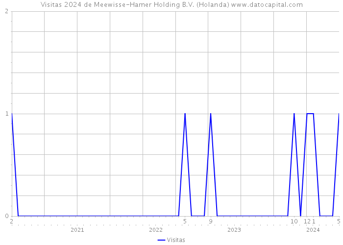 Visitas 2024 de Meewisse-Hamer Holding B.V. (Holanda) 