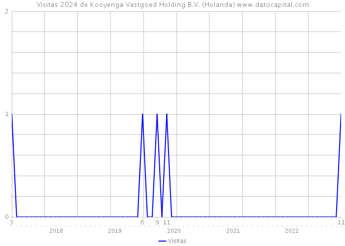 Visitas 2024 de Kooyenga Vastgoed Holding B.V. (Holanda) 