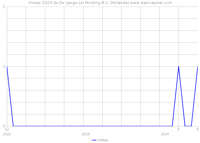 Visitas 2024 de De Lange Lei Holding B.V. (Holanda) 