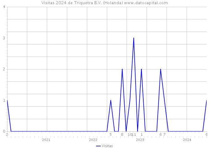 Visitas 2024 de Triquetra B.V. (Holanda) 