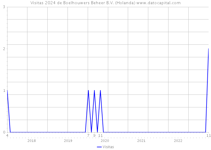 Visitas 2024 de Boelhouwers Beheer B.V. (Holanda) 